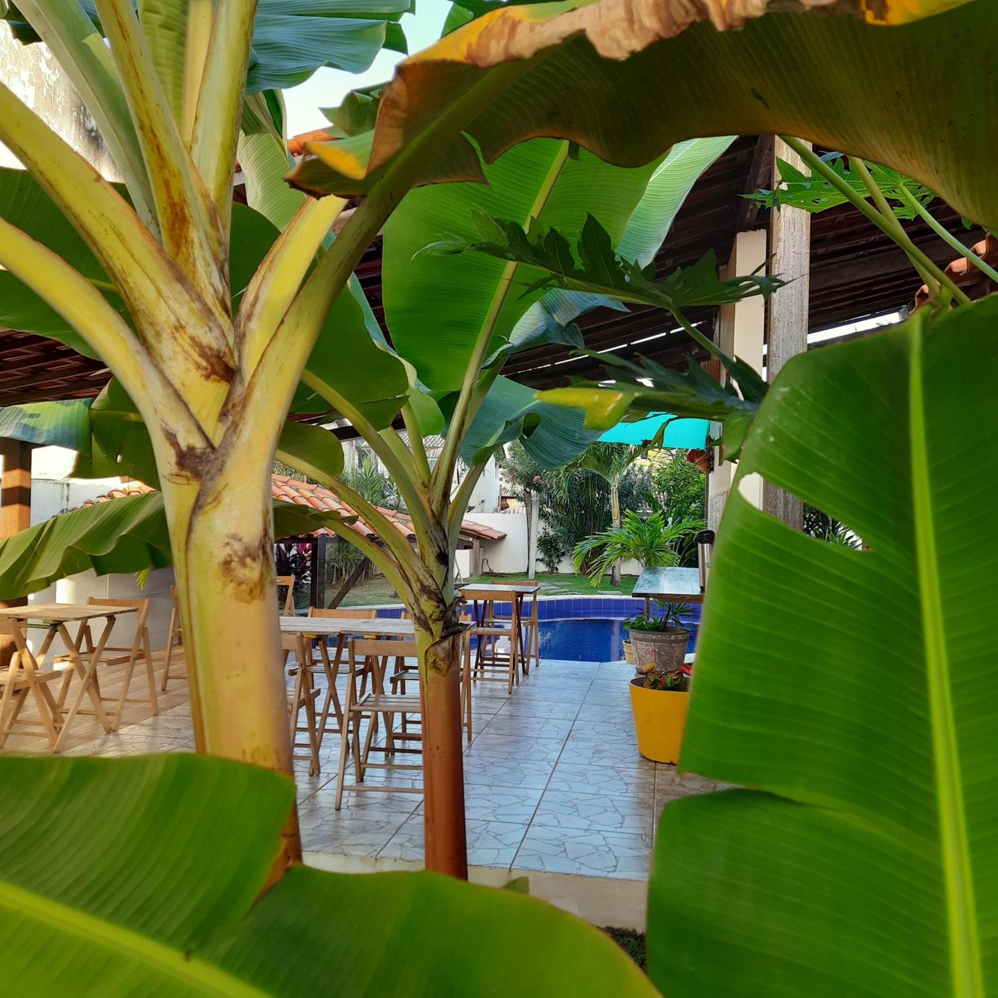 Villa Tropicale Сальвадор Экстерьер фото